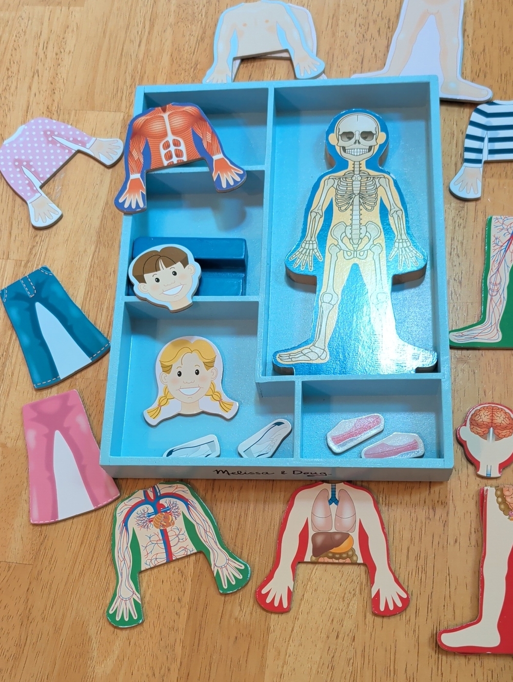 Melissa & Doug Blue Human Anatomy Dress-Up Magnetic Puzzle Set